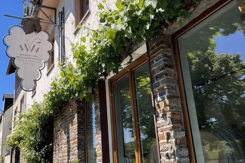 Double room in the Bed & Breakfast on our winery on the Moselle in Zell (Mosel), Traben-Trarbach and Surroundings