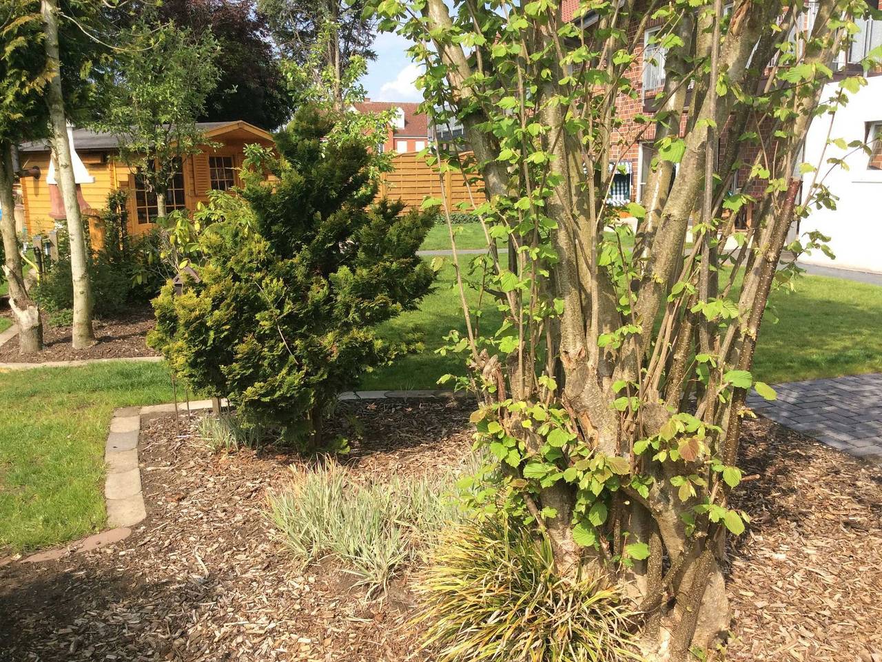 Ganze Ferienwohnung, Ferienwohnung im Grünen - Ferienwohnung im Grünen in Sassenberg, Münsterland