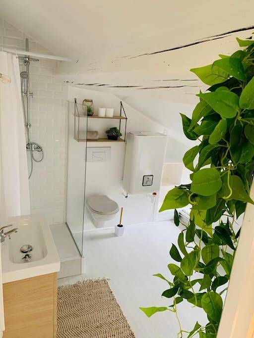 Appartement entier, One-Bedroom Apartment in Remiremont, Région d'Épinal