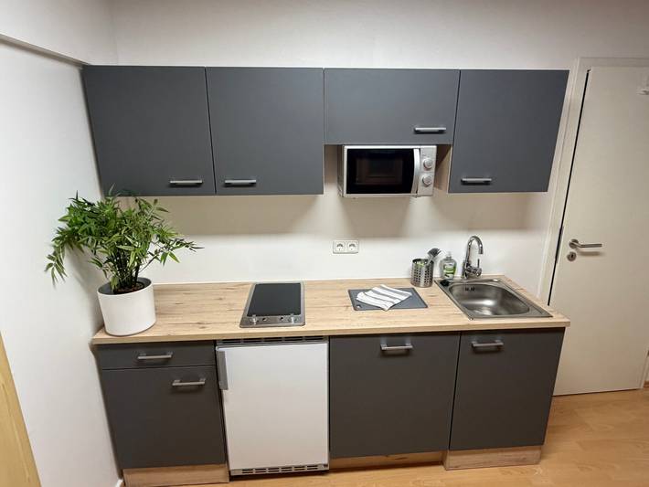Gîte pour 8 personnes, avec jardin, animaux acceptés à Penzberg - 4