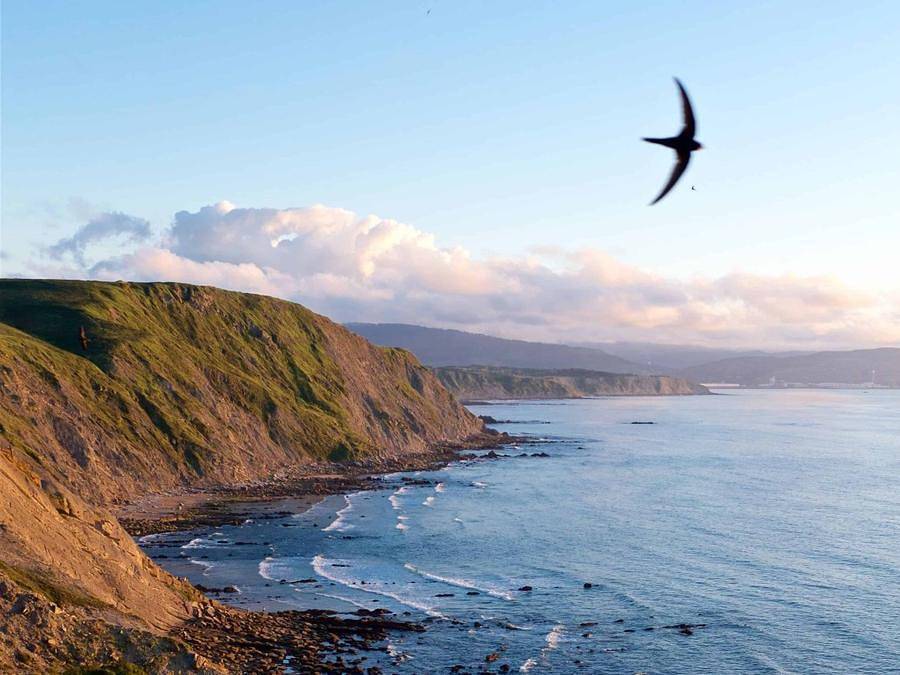 Wecamp Cudillero - Tienda de campaña 2 personas - Tienda de campana in Cudillero, Costa Verde
