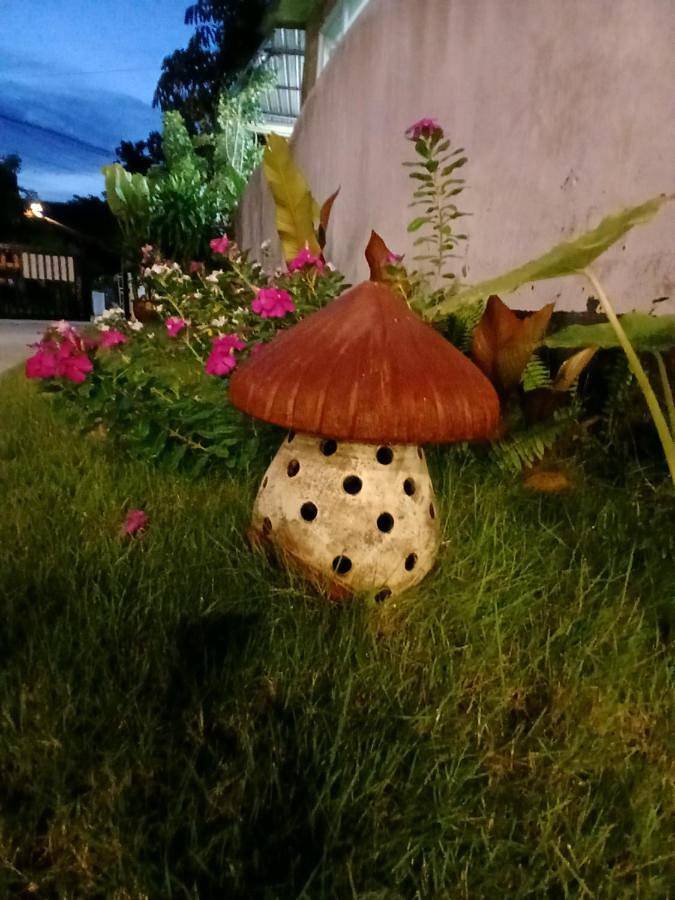 Maison d’hôte pour 2 personnes, avec vue et jardin dans Ko Phangan - 2