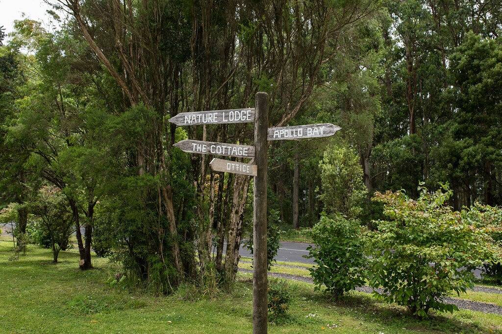Top of the Otways the Nature Lodge in Wye River, Colac Otway Shire