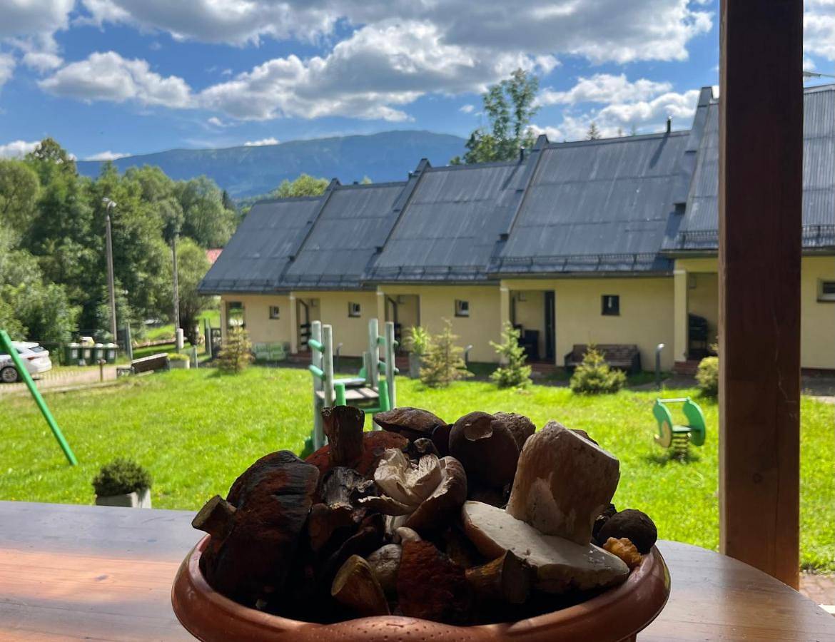 Osada Babiogórska - domki gościnne in Zawoja, Karpaty (Polska)