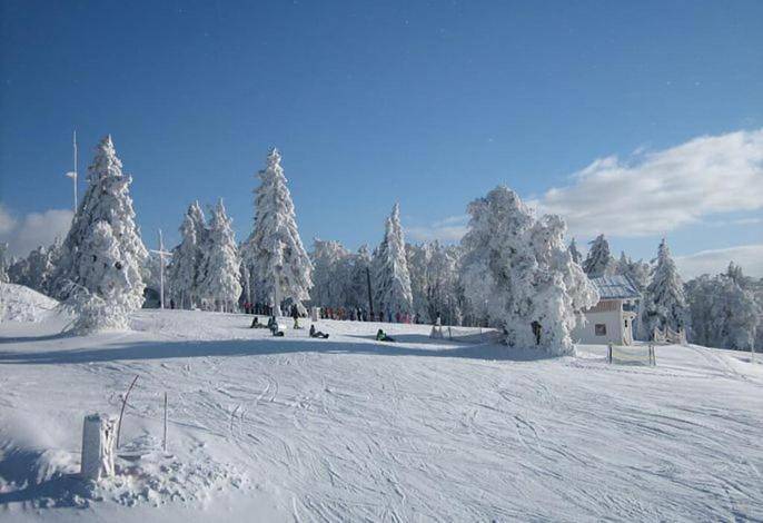 Ganze Wohnung, Three-Bedroom Apartment in Philippsreut, Šumava Mountains