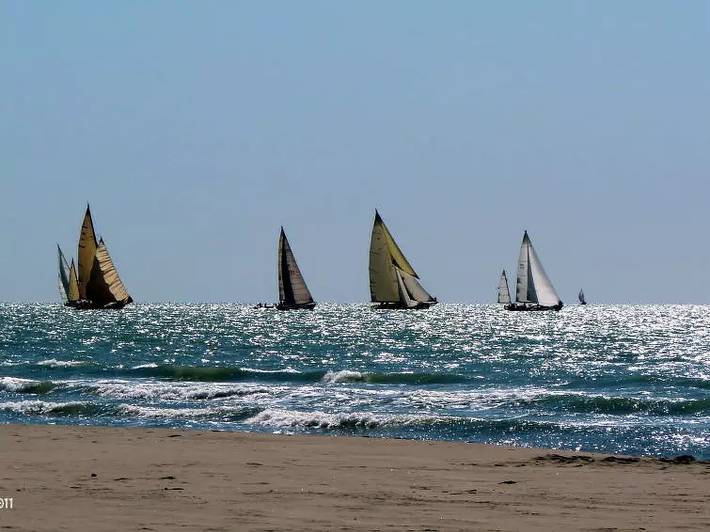 Location de vacances pour 6 personnes, avec jardin à Forte dei Marmi - 2