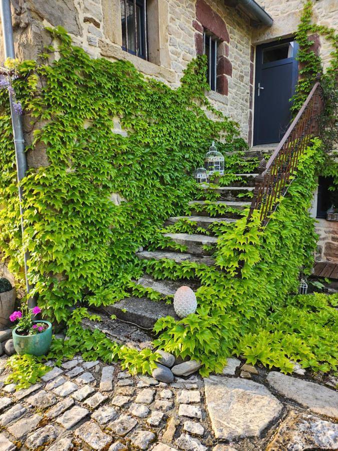 Double Room with Private Bathroom in Sébrazac, Aveyron