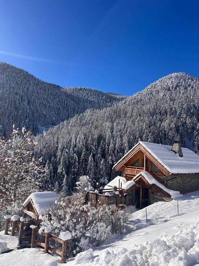 Location de vacances pour 2 personnes, avec jardin ainsi que vue et terrasse dans Auron - 2