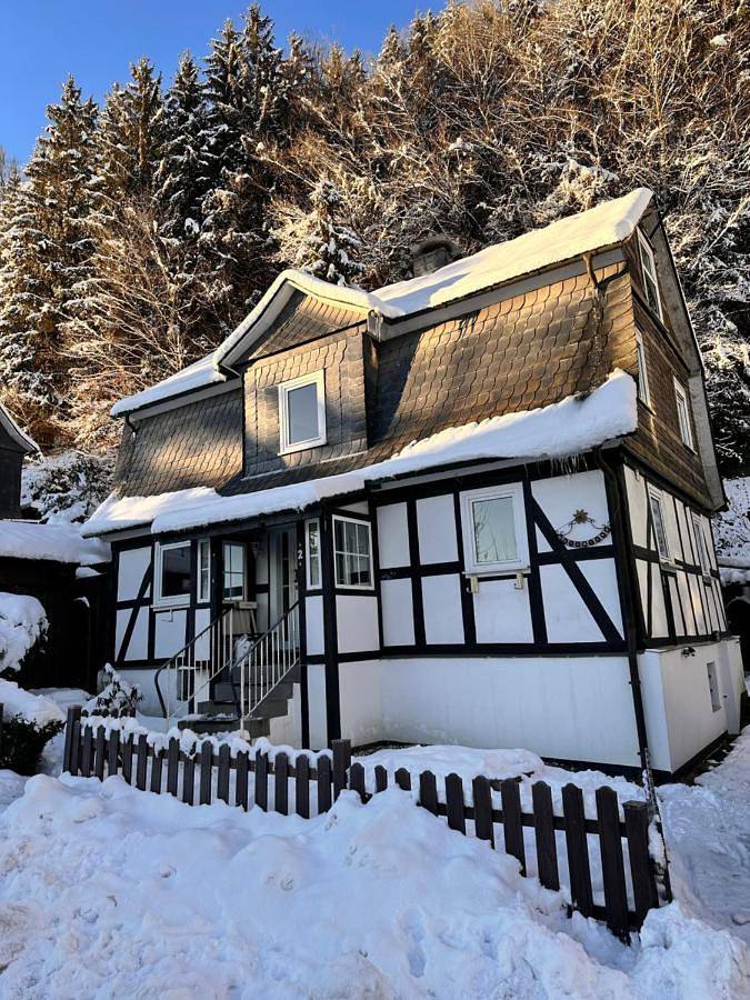 Waldtraum Lodge Winterberg für 10 Personen mit Garten und Grill in Winterberg, Hochsauerlandkreis