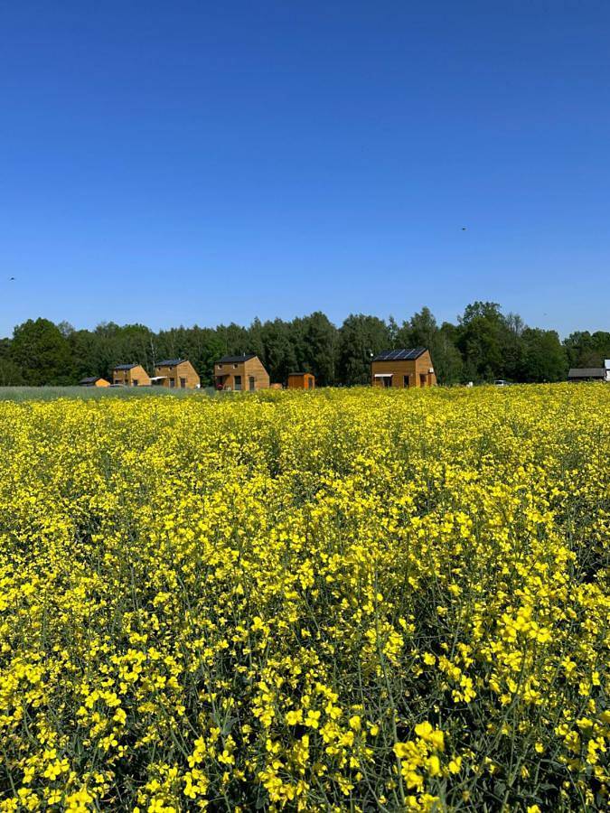 Domek na Roztoczu Sauna & Jacuzzi in Roztocze