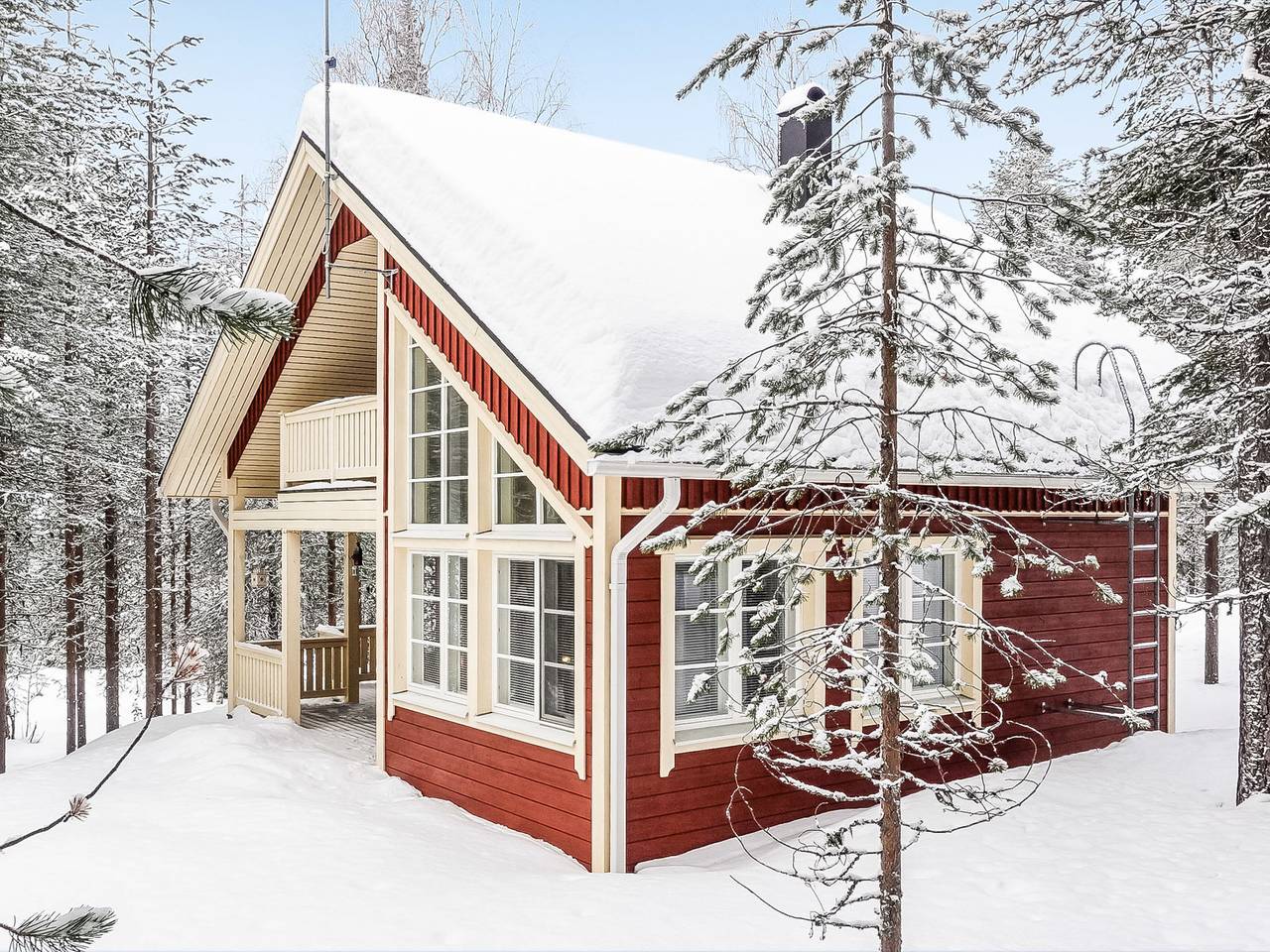 Käenkukka in Lappland