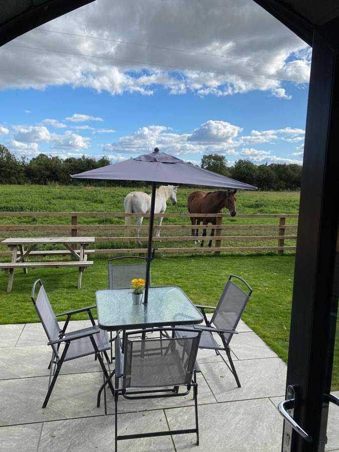 One-Bedroom Chalet in North Yorkshire