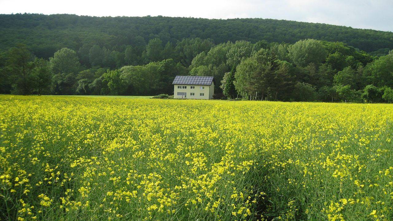 Ganze Ferienwohnung, Ferienwohnung für 9 Personen (126 m²) in Homberg (Efze) in Homberg, Knüllgebirge