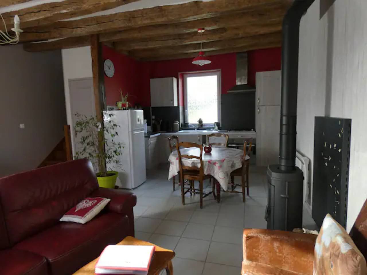 Écureuils in Buzançais, Châteauroux und Umgebung