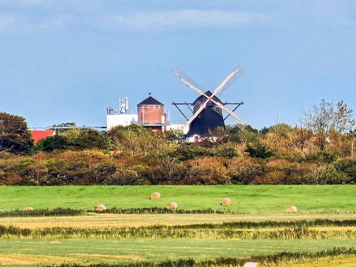 Ferienhaus für 2 Personen, mit Terrasse und Pool, mit Haustier in Højer - 4
