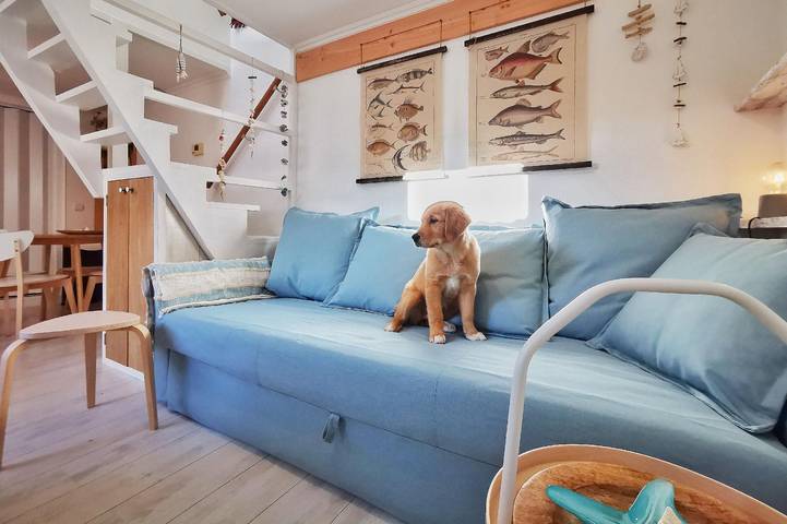 Ferienhaus für 4 Personen, mit Garten in Noordwijk - 3