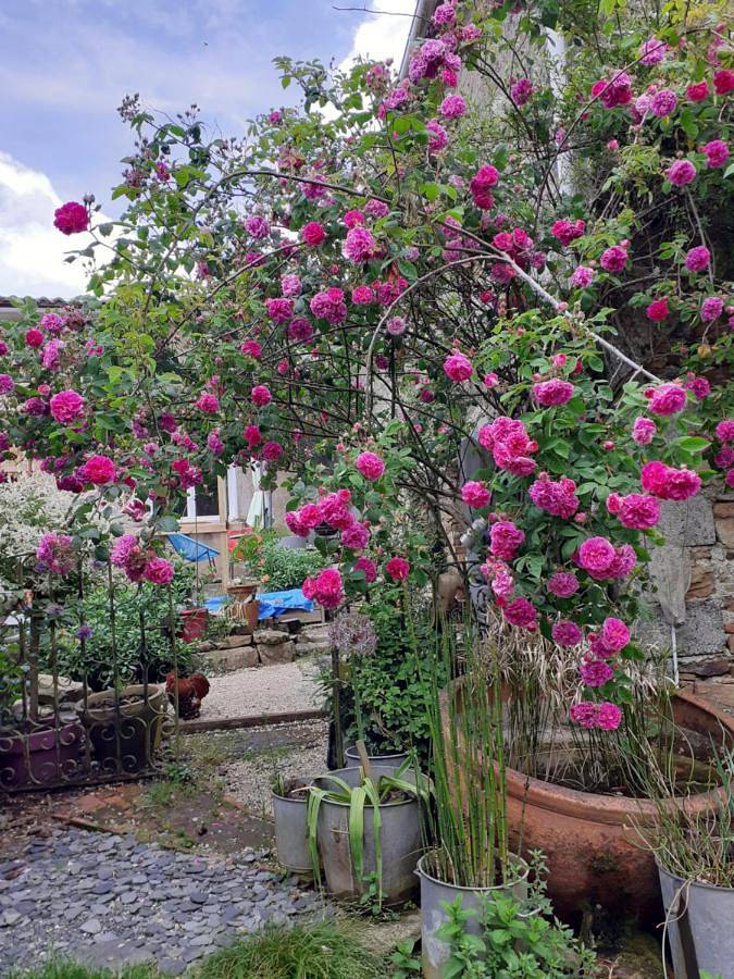 Location de vacances pour 6 personnes, avec terrasse et vue dans Sèvremoine - 3