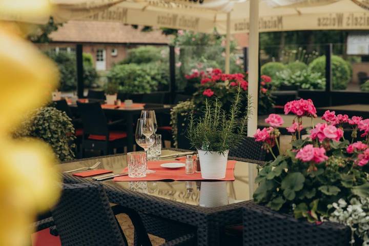 Hotel für 3 Personen, mit Terrasse und Garten in Visselhövede - 2