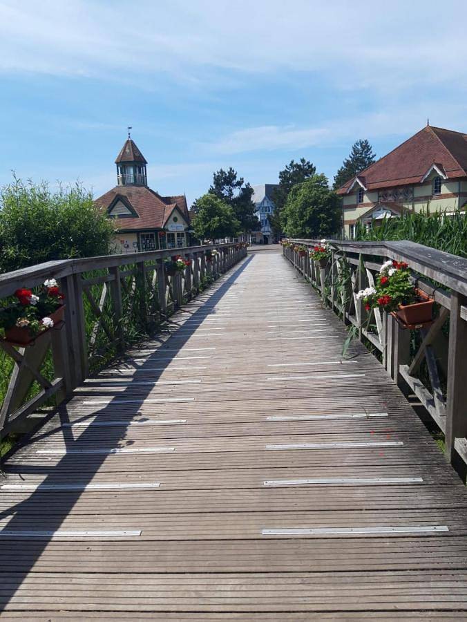 Gîte pour 6 personnes, avec vue ainsi que jardin et sauna dans Aquaclub de Belle Dune - 3