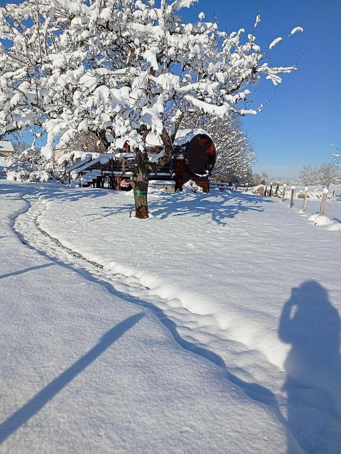 Tente pour 4 personnes, avec terrasse ainsi que jardin et vue dans le Jura - 3