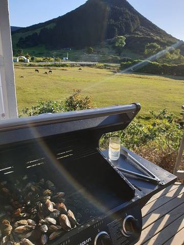 Holiday Home for 6 People in Northland, New Zealand, Photo 4