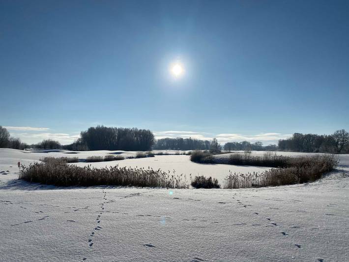 Ferienhaus für 6 Personen, mit Terrasse und Garten in Göhren-Lebbin - 4