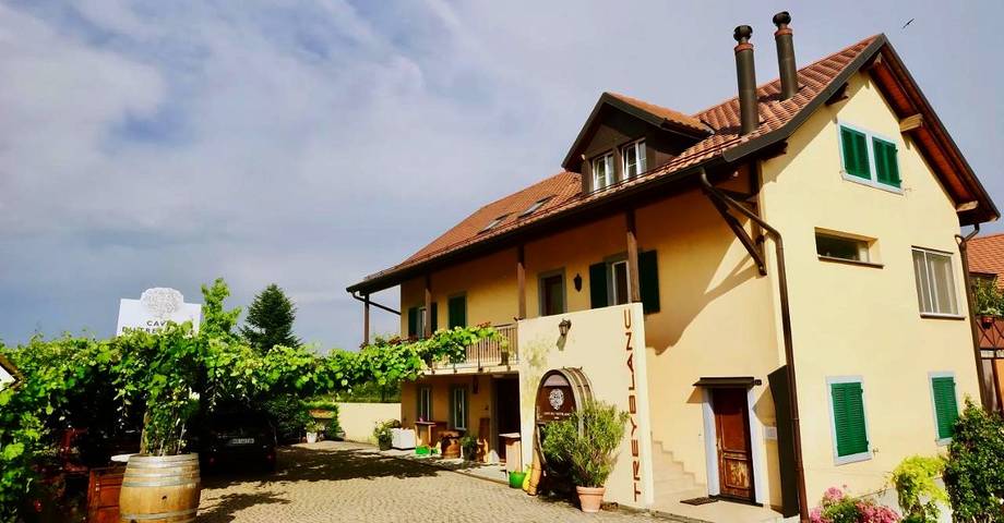 Chambre d’hôte pour 2 personnes, avec balcon et vue dans Canton de Vaud - 2