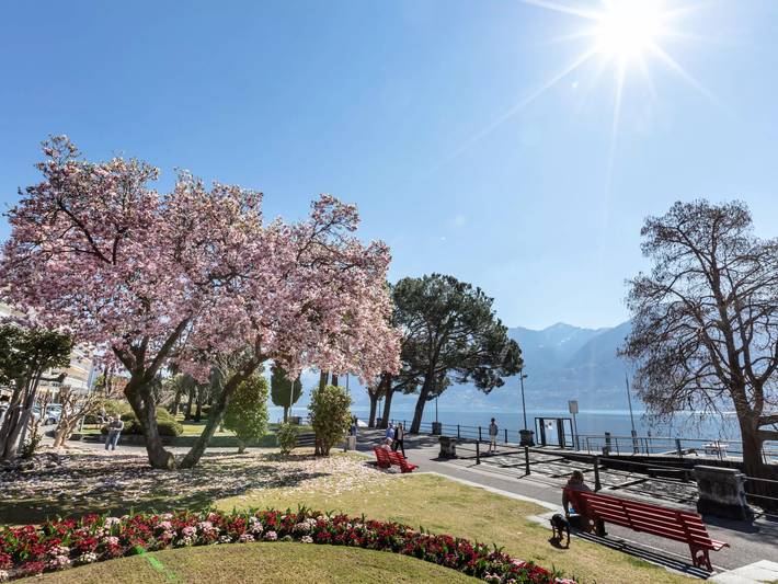 Ferienwohnung für 2 Personen, mit Balkon am Lago Maggiore (Schweiz) - 2