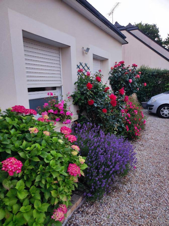 Location de vacances pour 2 personnes, avec jardin à Matignon - 4