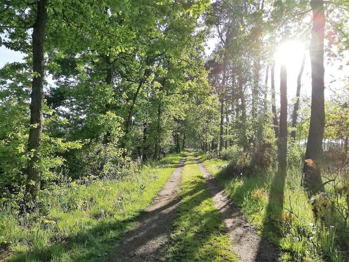 Gîte pour 4 personnes, avec jardin et vue à Lille (Belgique) - 2