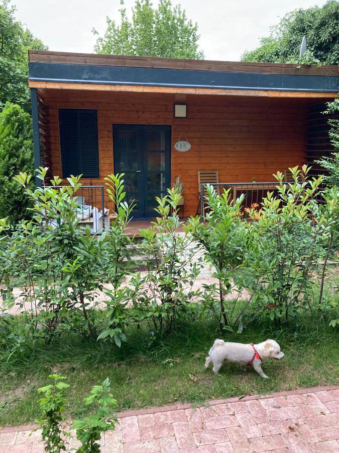 Málna Privát Nyaraló in Balatonlelle, Plattensee Südufer