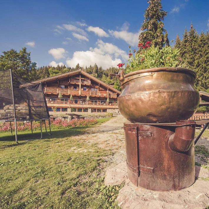 Chambre d’hôte pour 6 personnes, avec jardin et sauna ainsi que jacuzzi et terrasse en Haute-Savoie - 3