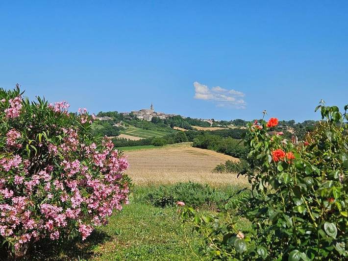 Location de vacances pour 4 personnes, avec piscine ainsi que vue et jardin, adapté aux familles à Salvagnac - 4