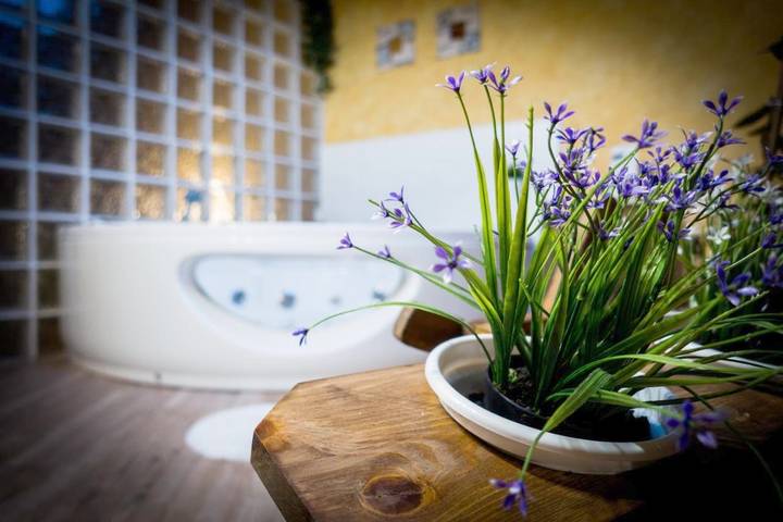 Casa rural para 8 personas, con Jacuzzi además de Terraza y Vistas en La Horra