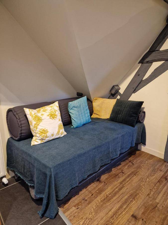 Gîte pour 4 personnes, avec sauna ainsi que vue et terrasse à Coulommiers (Seine-et-Marne) - 4