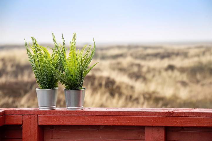Ferienhaus mit Meerblick für 4 Personen, mit Terrasse, mit Haustier auf Rømø - 2