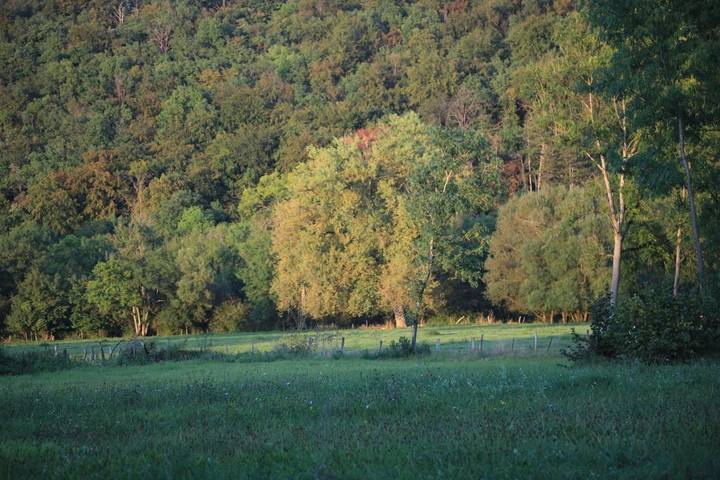 Chambre d’hôte pour 2 personnes, avec jardin et vue dans Haute-Marne - 4