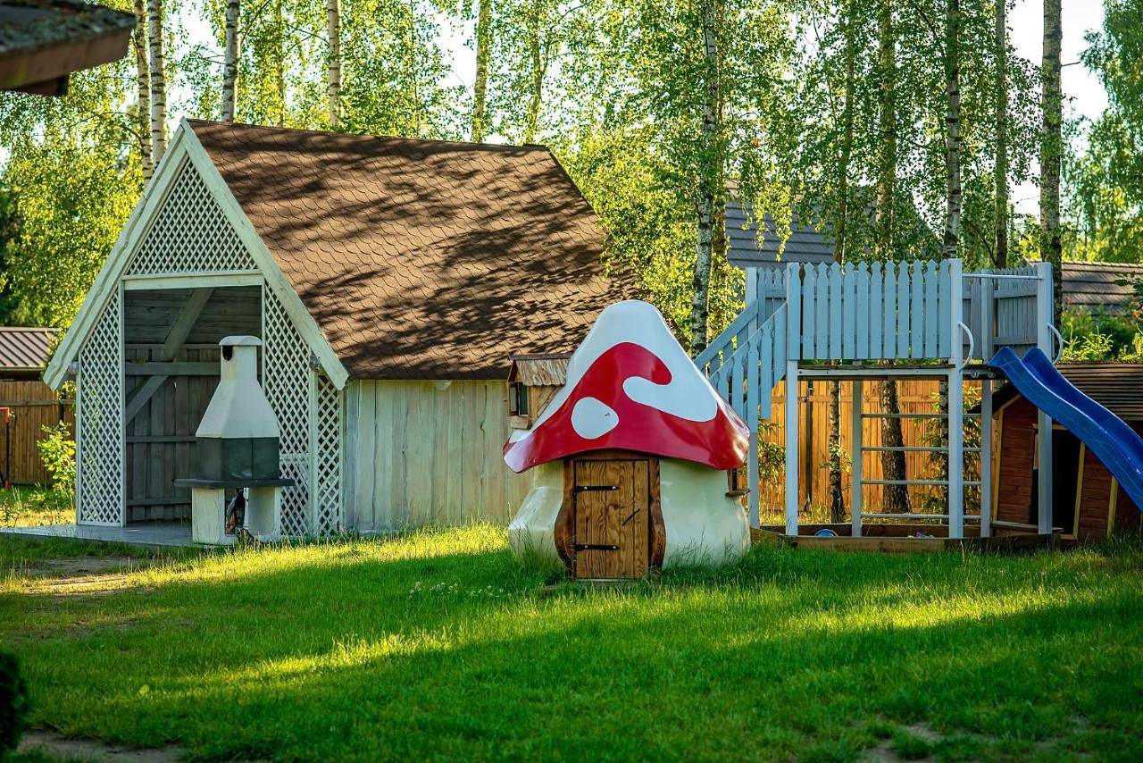 Domki w lasku in Wiele, Bory Tucholskie