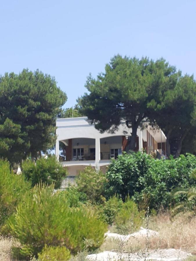 Chambre d’hôte pour 3 personnes, avec vue et jardin à Nardò - 4