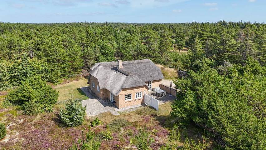 Villa for 4 personer, med Jacuzzi og Terrasse samt Sauna i Vedersø Klit