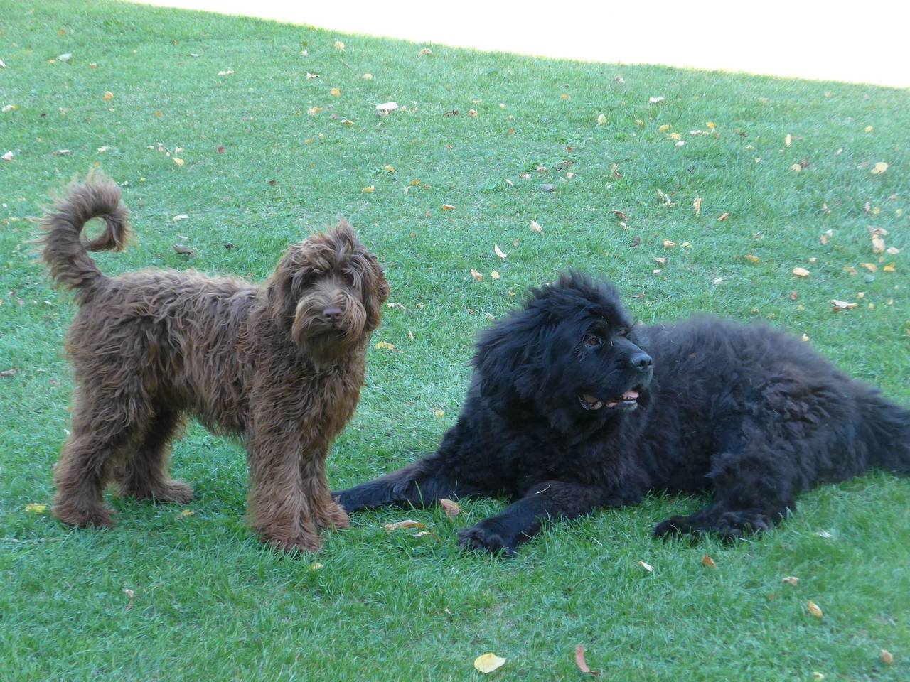 Apartamento entero, Hist. Schafscheune in Krakow am See, Lagos de Mecklenburg