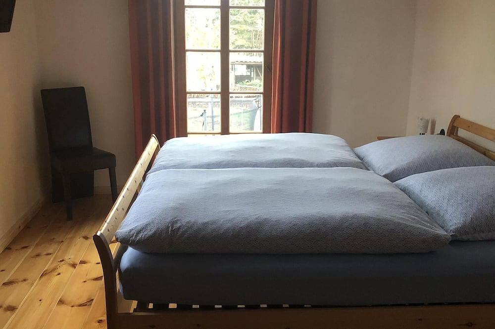 Ganze Wohnung, Wohnen in historischen Gemäuern in Pirna, Elbsandsteingebirge
