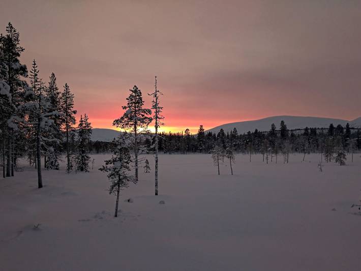 Tunturitupa kuolpuna in Lappland