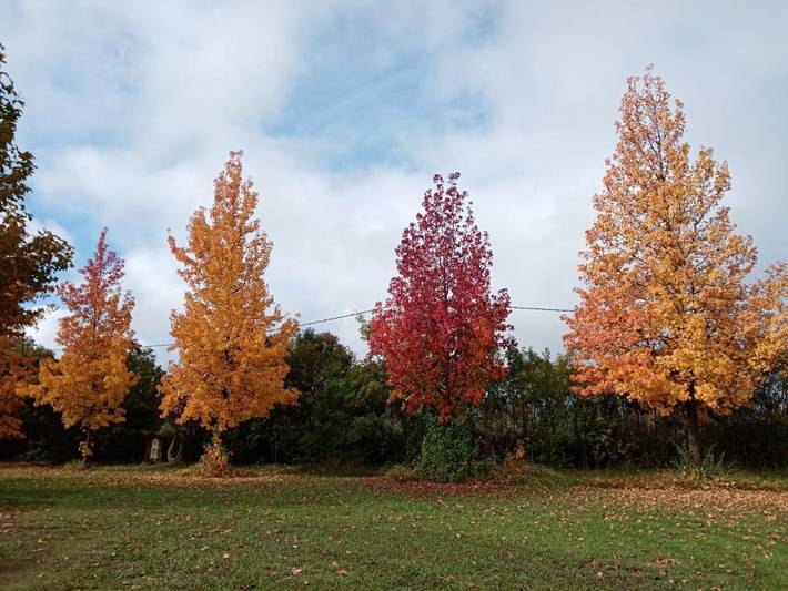 Chalet para 13 personas, con vistas además de jardín y piscina, Se admiten mascotas en Valle del Tiétar - 3