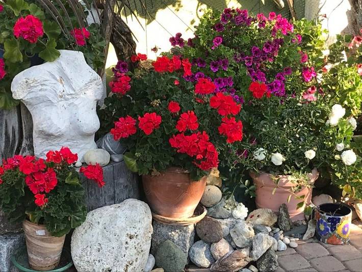 Ferienwohnung für 7 Personen, mit Terrasse, kinderfreundlich in Westallgäu - 2