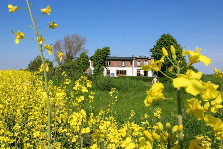 Ferienhaus für 8 Personen, mit Garten und Terrasse in Steinberg - 4