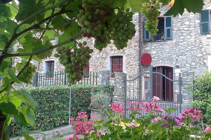 Il Tralcio, bellissimo! in Garlenda, Riviera di Ponente