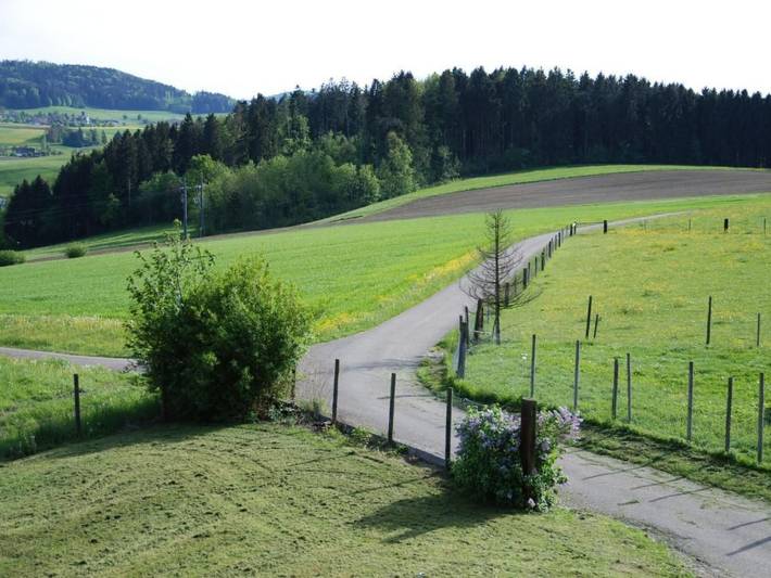 Ganze Wohnung, Summerhalde in Elsau, Zürich Voralpen