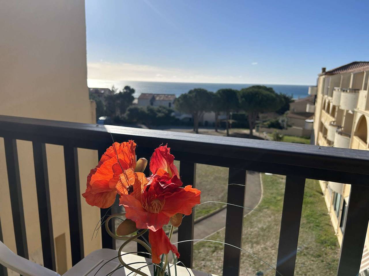 Appartement entier, Studio Cabine Vue Mer - 4 Pers, Balcon, Animaux Bienvenus in Saint Pierre la Mer, Fleury