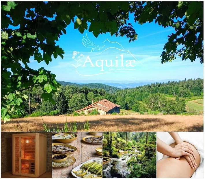 Location de vacances pour 4 personnes, avec sauna ainsi que vue et jardin, animaux acceptés à Vollore-Montagne